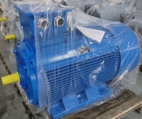 YE5 series three phase asynchronous motor